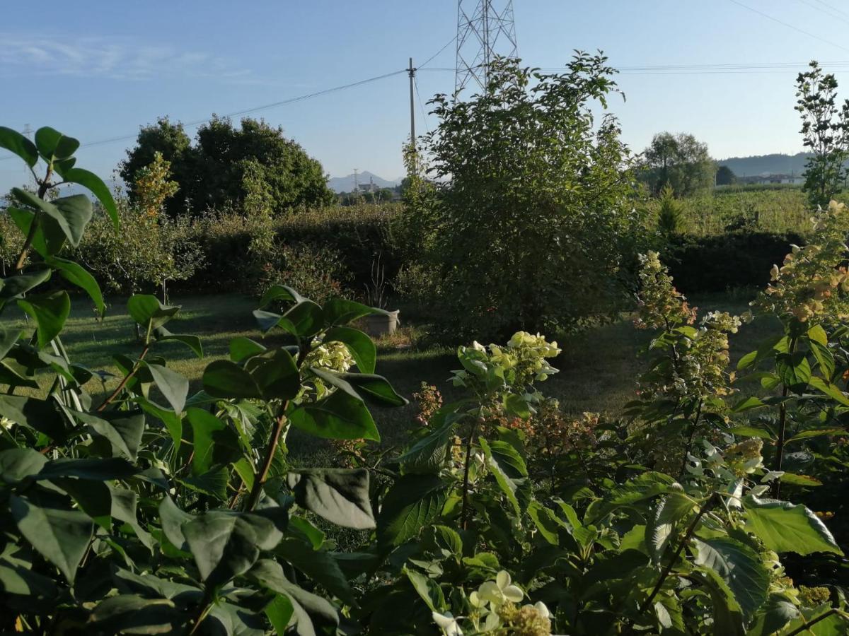 Ca' Blanca Bed & Breakfast Castelnuovo del Garda Luaran gambar