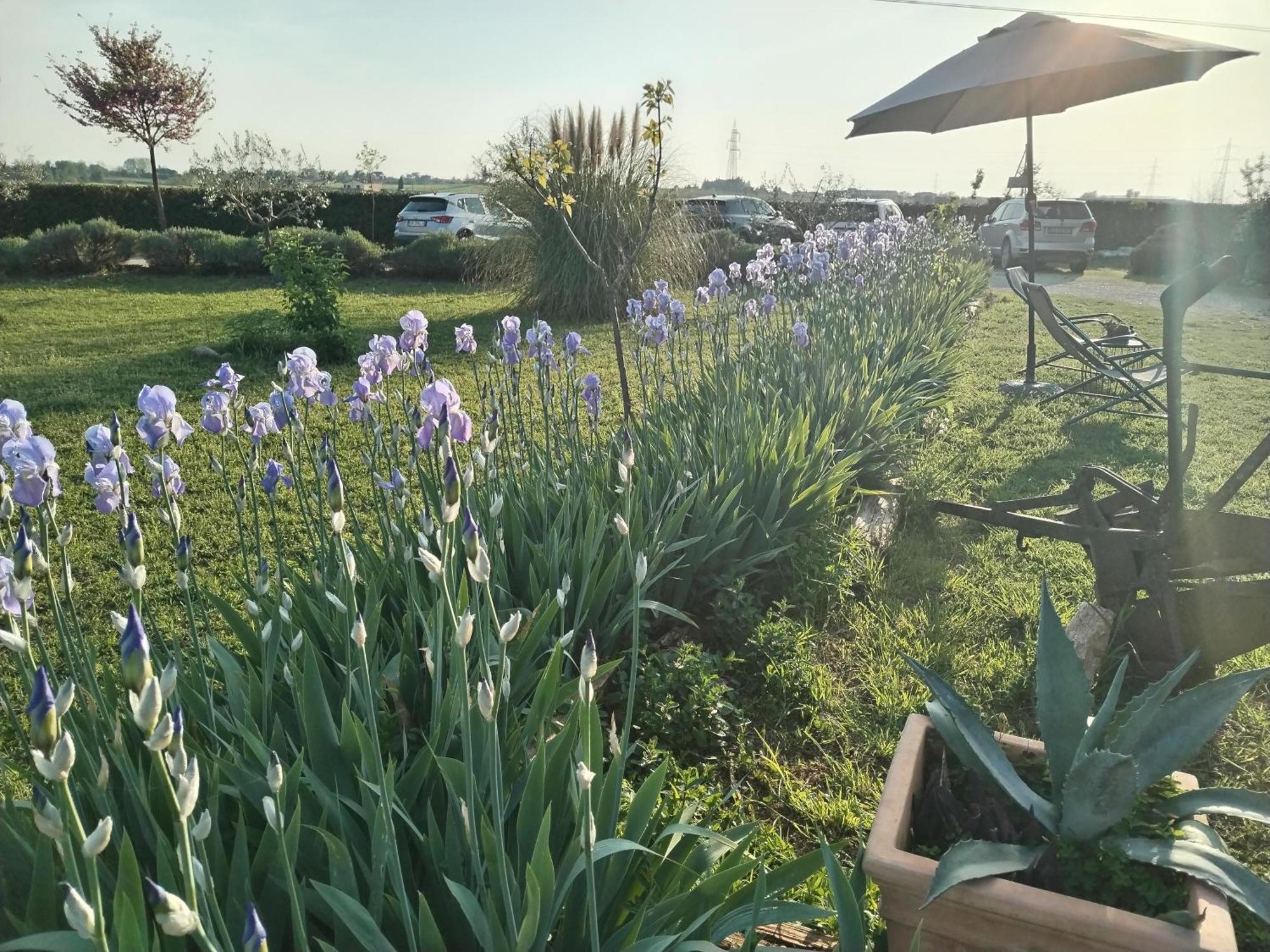 Ca' Blanca Bed & Breakfast Castelnuovo del Garda Luaran gambar