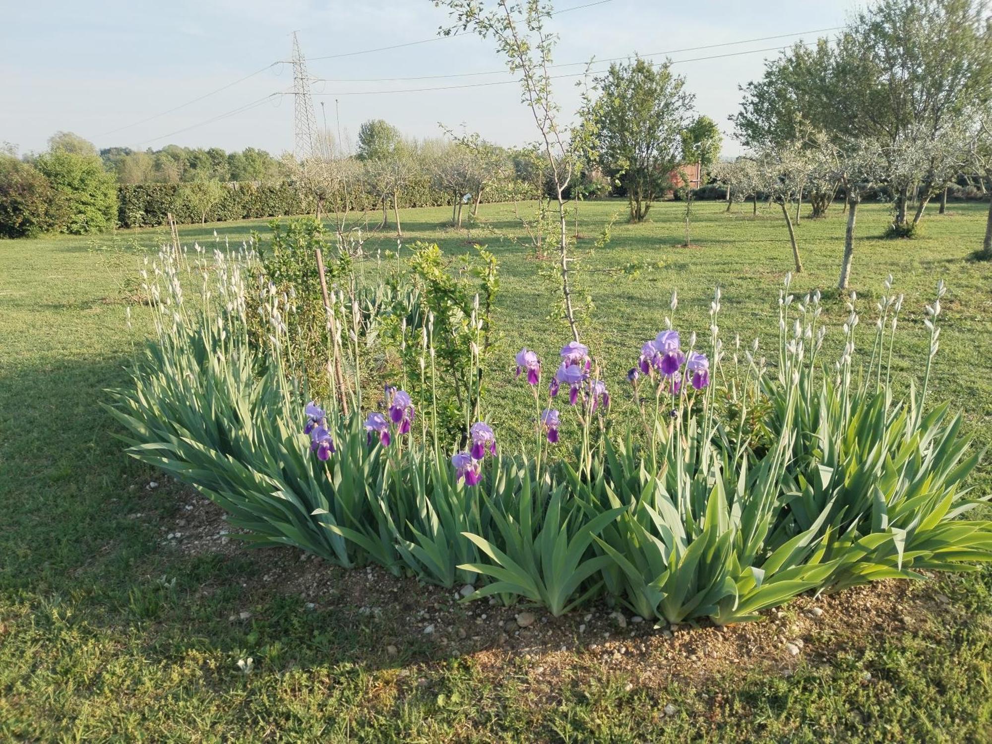 Ca' Blanca Bed & Breakfast Castelnuovo del Garda Luaran gambar